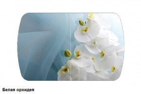 Стол Бостон 2 (1100*700) опоры Брифинг (Стекло/фотопечать Белая орхидея) в Мортке - mortka.germes-mebel.ru | фото